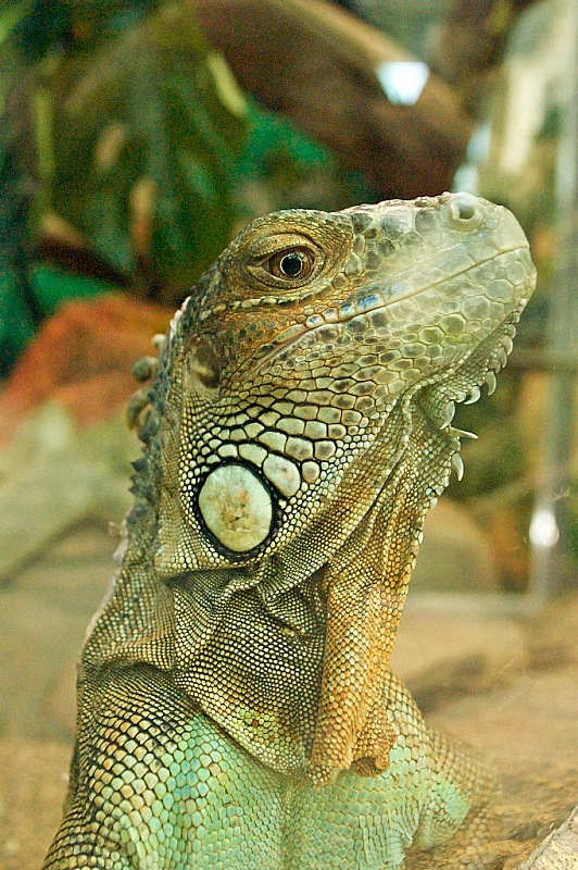 2015 08 09 Minsk ZOO 1372