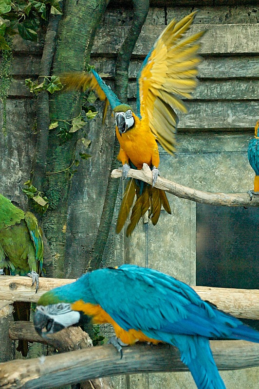 2015 08 09 Minsk ZOO 1413