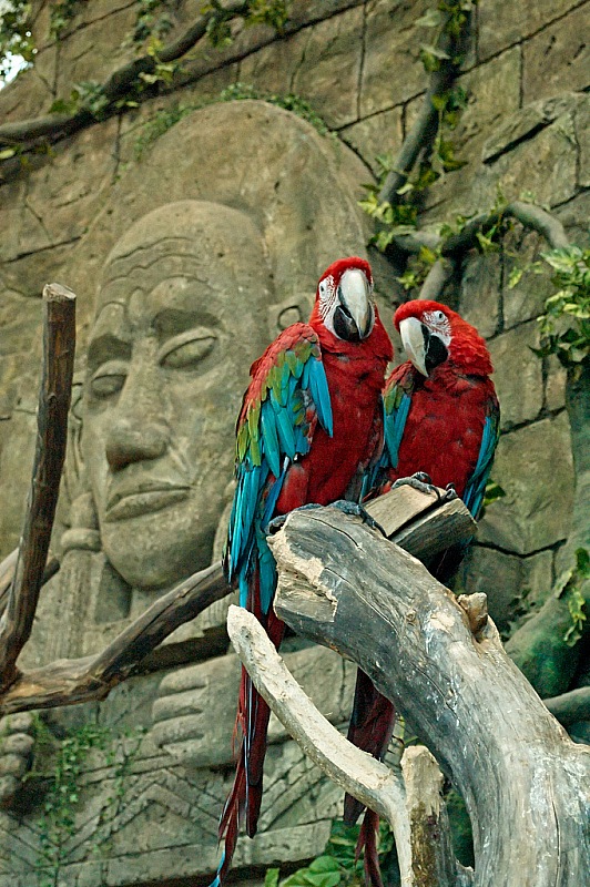 2015 08 09 Minsk ZOO 1428