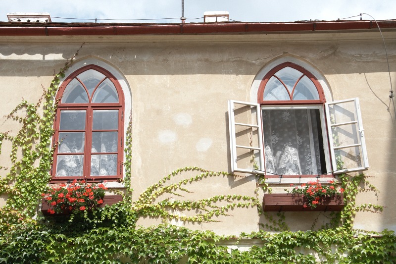 2009_08_11_Vranov_n_Dyjei_139.jpg