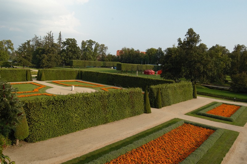 2009_08_11_Jaromerice_004.jpg