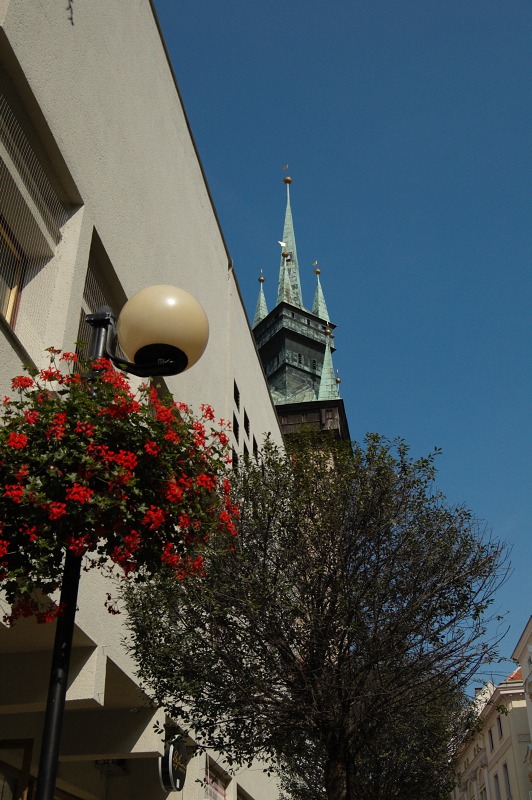 2009_08_10_Znojmo_016.jpg