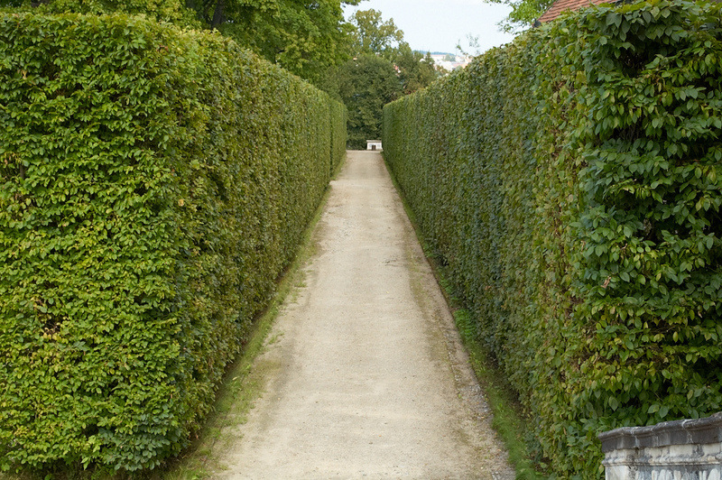 2012 07 30 Cesky Krumlov 313
