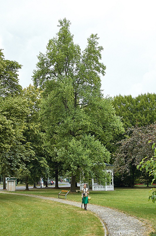 2018 07 10 KarlovyVary 231