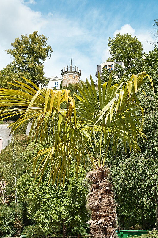 2018 07 11 KarlovyVary 053
