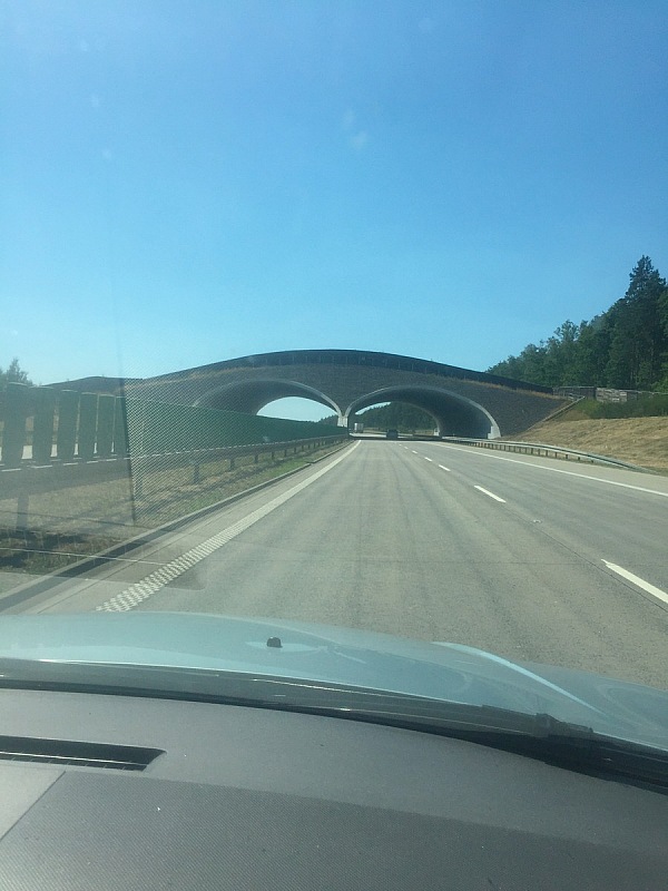 2018 07 Europa iPhone 054 2018 07 05
