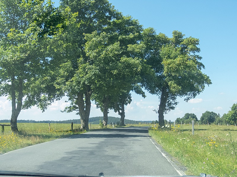 2018 07 14 Weiden 003m