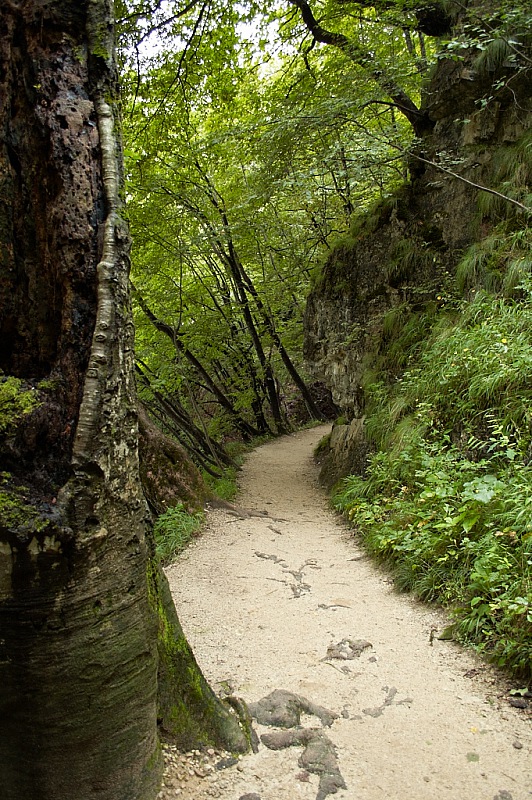 2014 08 05 Plitvicka Jezera 0879