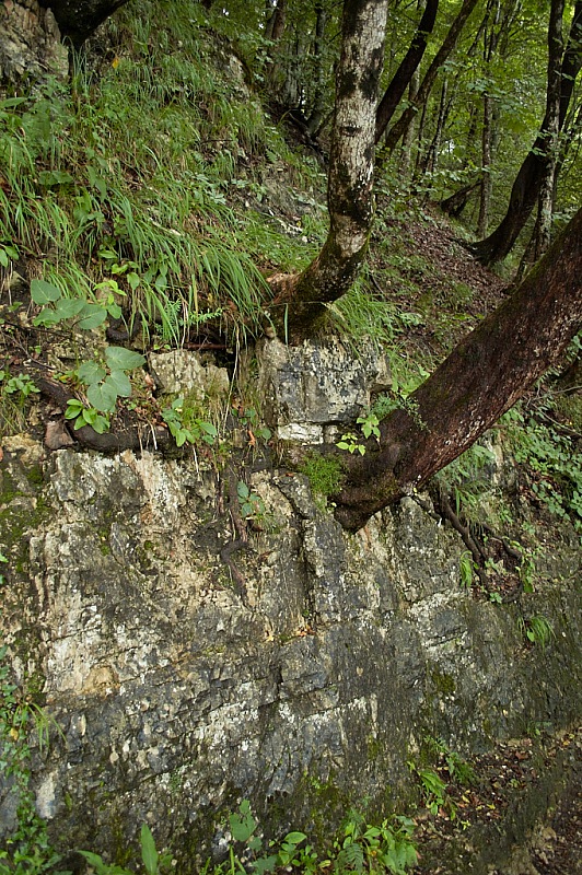 2014 08 05 Plitvicka Jezera 0895