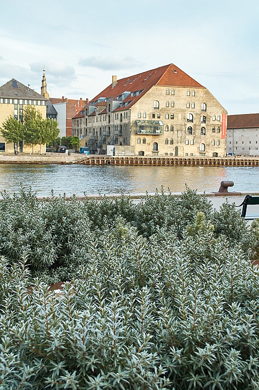 2017 07 12 Copenhagen 0818