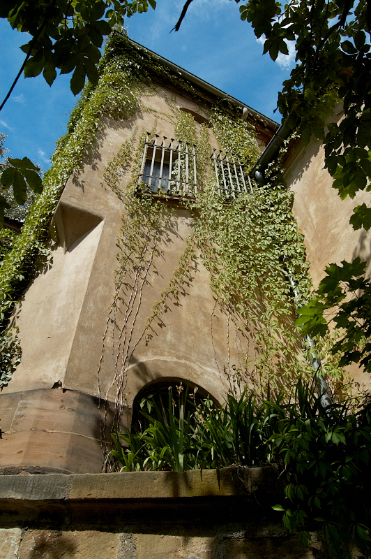 2008 07 20 Bamberg 386