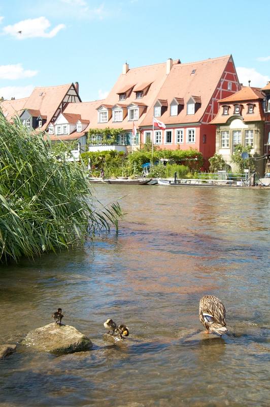 2008 07 20 Bamberg 655