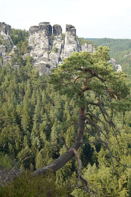2011 07 26 Raten Bastei 312