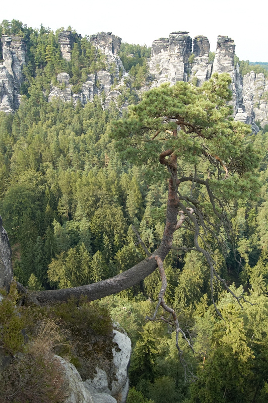 2011 07 26 Raten Bastei 314