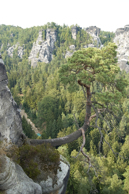 2011 07 26 Raten Bastei 315