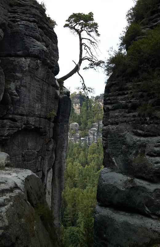 2011 07 26 Raten Bastei 343