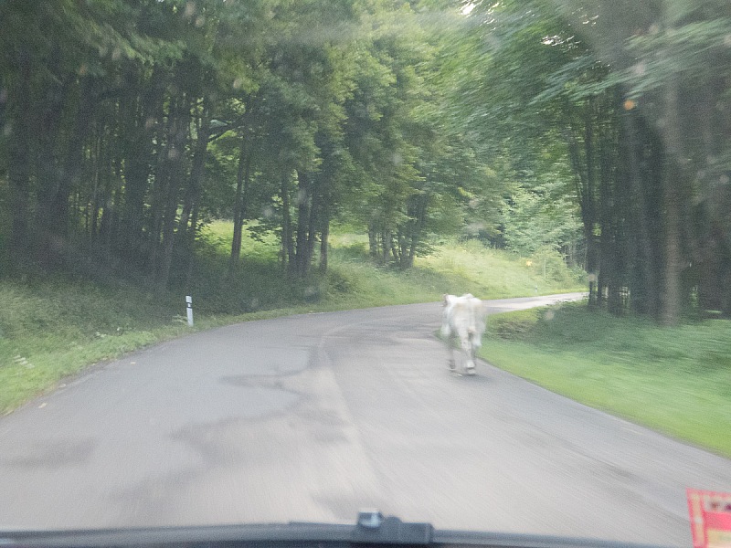 2018 07 12 Zwickau 1069m