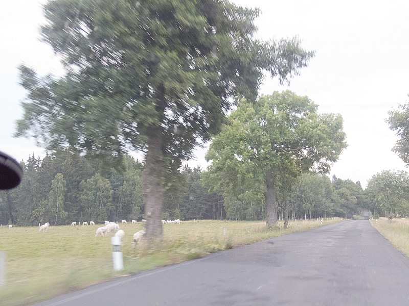 2018 07 12 Zwickau 1075m
