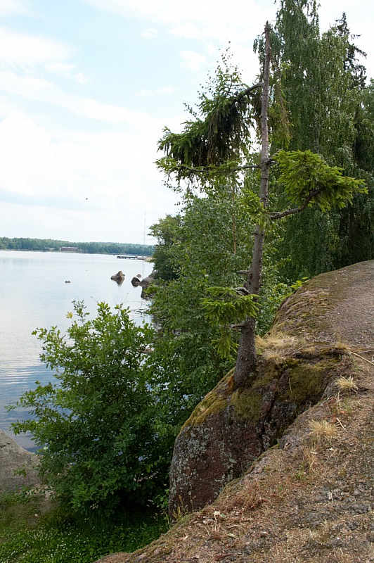 2013 06 25 Vyborg Monrepos 610