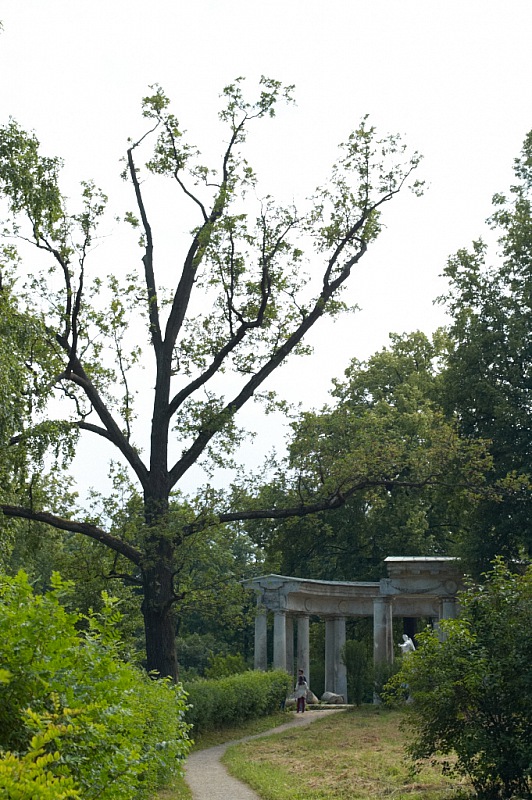 2013 06 28 Pavlovsk 0274