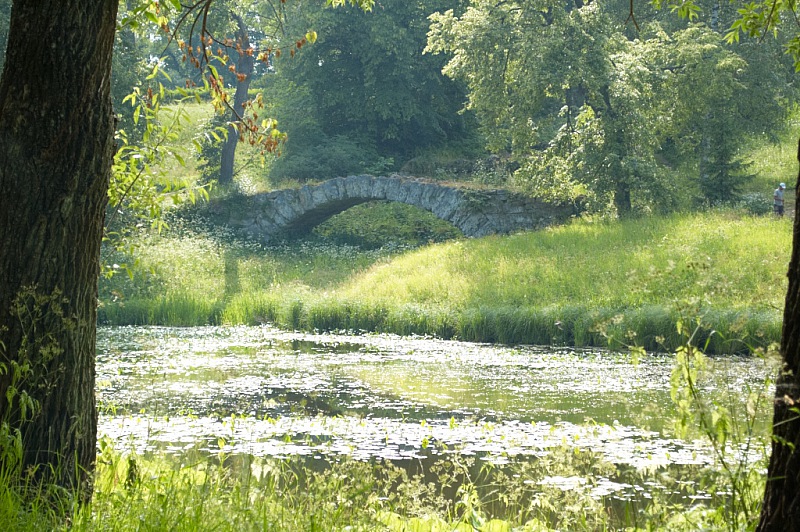2013 06 28 Pavlovsk 0363
