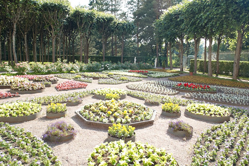2013 06 28 Pavlovsk 0429
