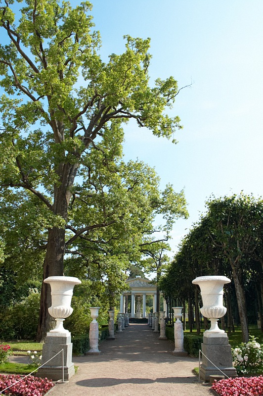 2013 06 28 Pavlovsk 0434