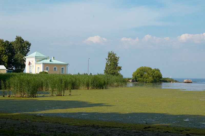 2013 06 24 Peterhof 609