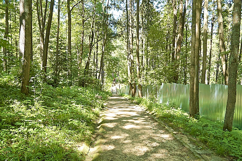 2012 06 17 Abramtsevo 019