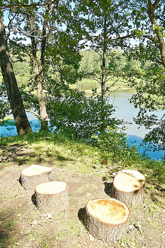 2012 06 17 Abramtsevo 032