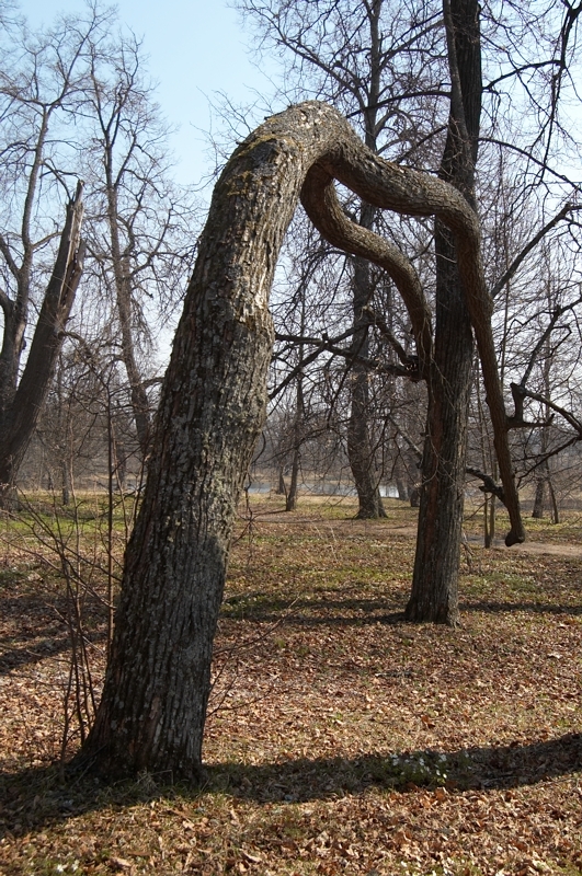 2006 04 28 Hmelita Smolensk 010