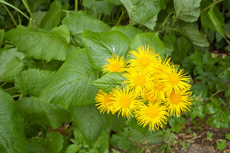 2014 07 11 Hmelita 048