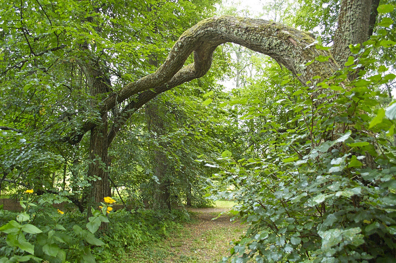 2014 07 11 Hmelita 053