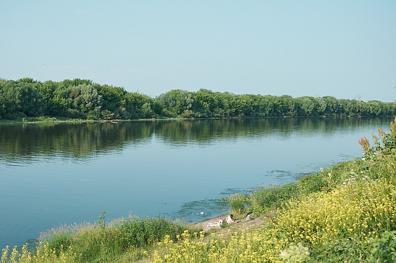 2019 06 08 Kolomna 026