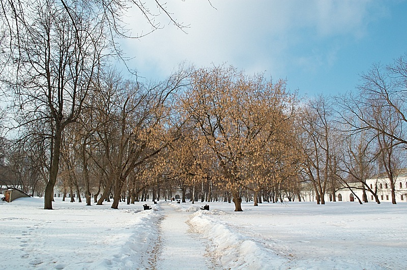 2015 02 21 Izmailovo 072