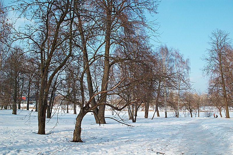2015 02 21 Izmailovo 096