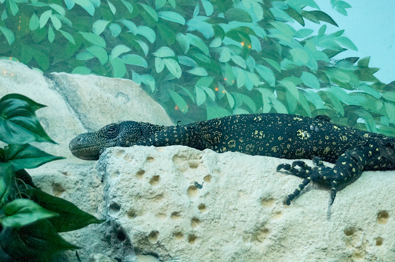 2012 03 09 Oceanarium 151
