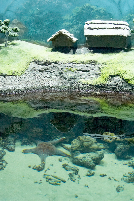2012 03 09 Oceanarium 165