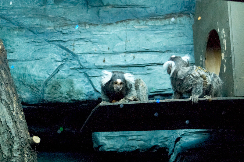 2012 03 09 Oceanarium 170