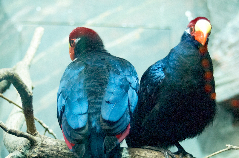 2012 03 09 Oceanarium 199