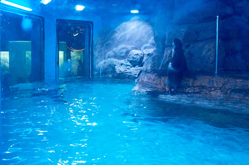 2012 03 09 Oceanarium 203