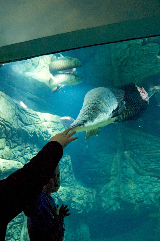 2012 03 09 Oceanarium 207