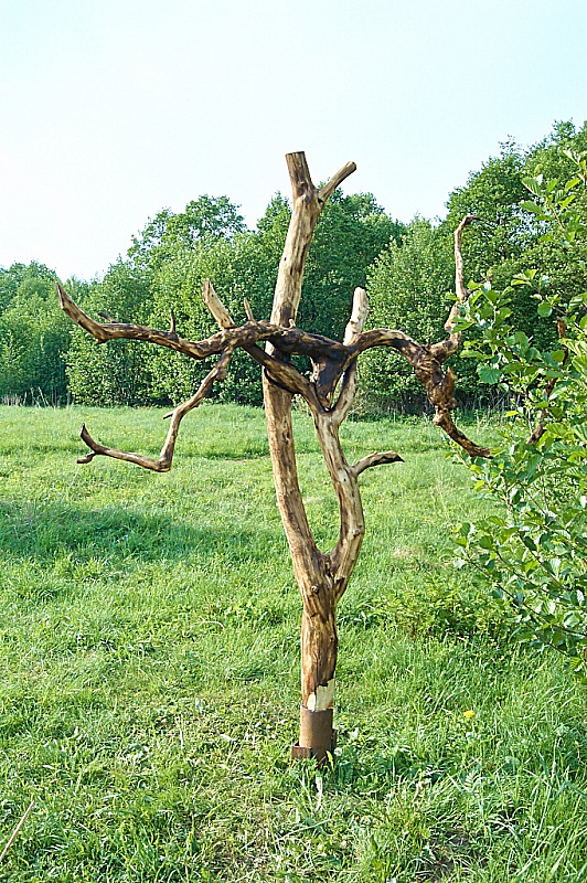 2010 05 24 Pereslavl 001