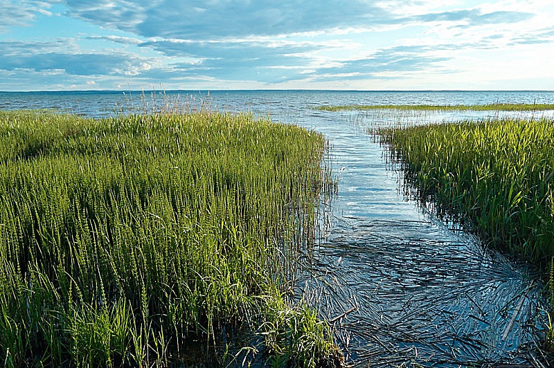 2012 06 04 Pereslavl 030