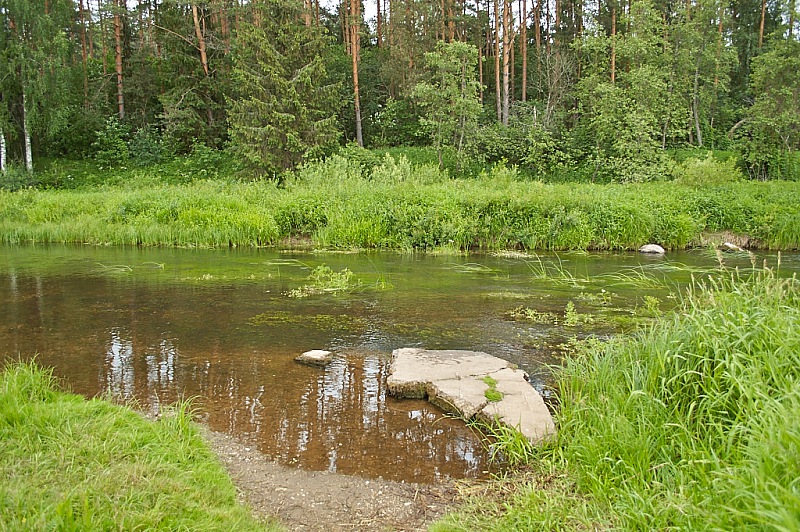 2014 06 15 Falukovo 001