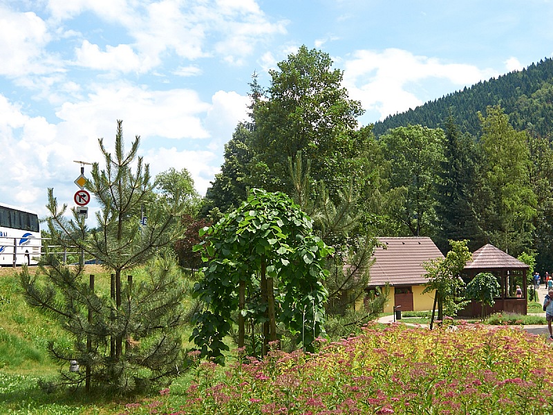 2016 06 30 Orava 027s