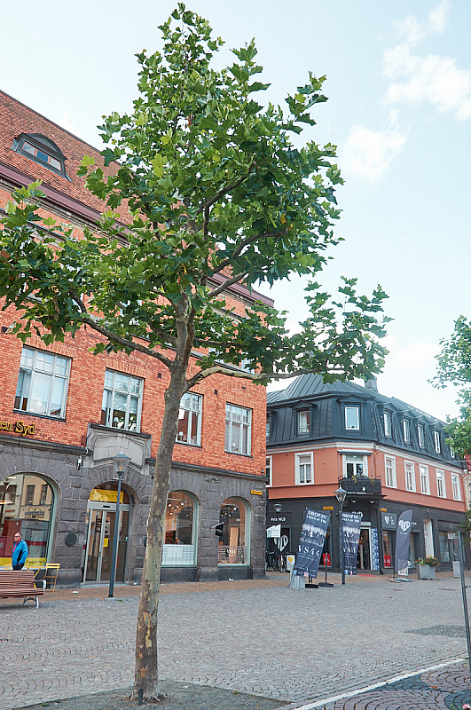 2019 08 20 Kristianstad 081
