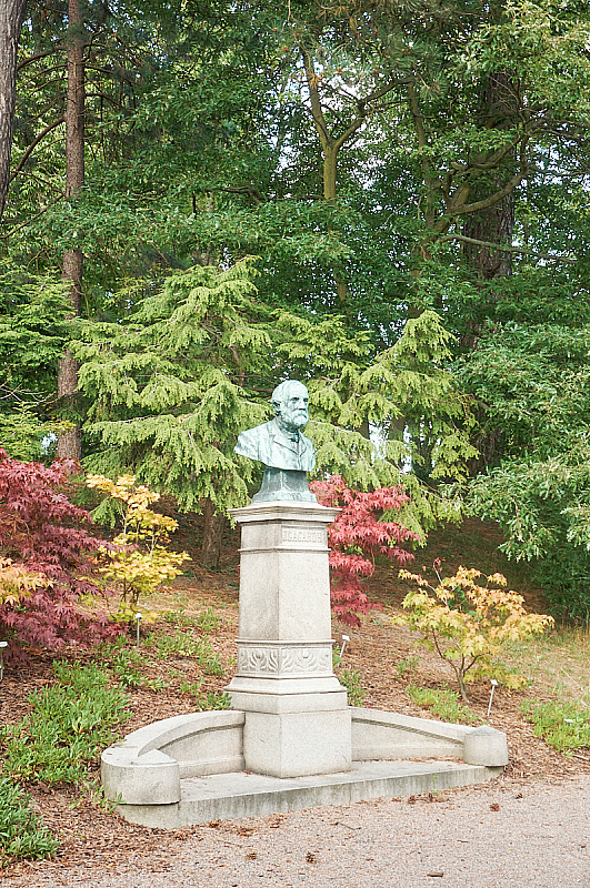 2019 08 21 Lund 283