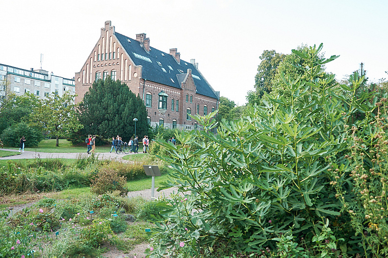 2019 08 21 Lund 321