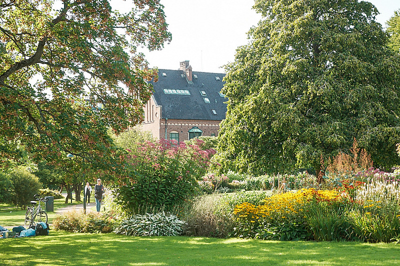 2019 08 21 Lund 376